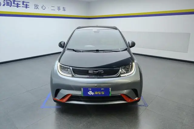 BYD dolphin Fashion edition