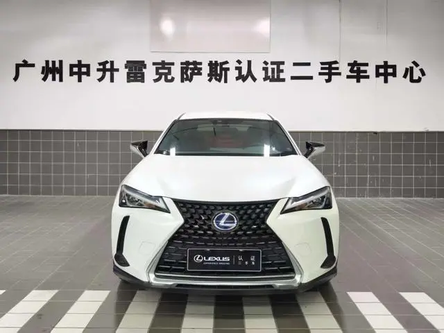 Lexus Lexus UX 260h Exploration*Cool Edition Country VI