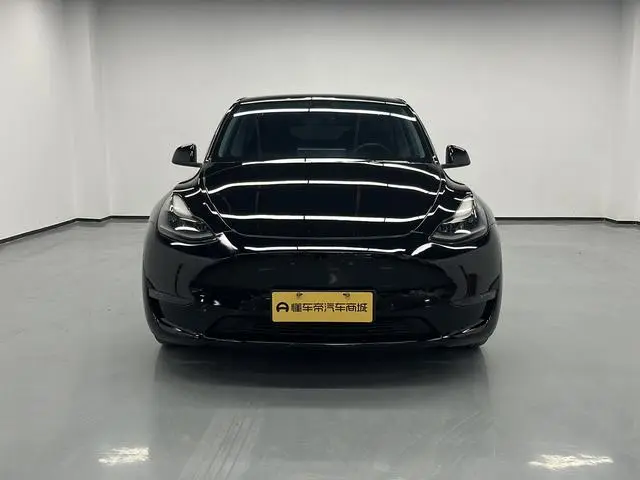 Tesla Model Y Performance high-performance all-wheel drive version