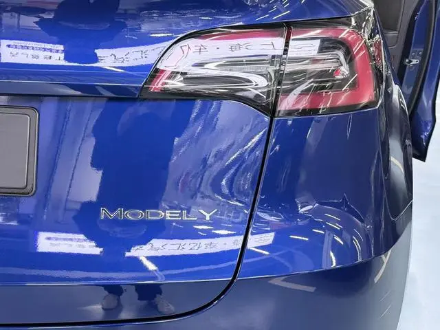 Tesla Model Y Long battery life all-wheel drive version
