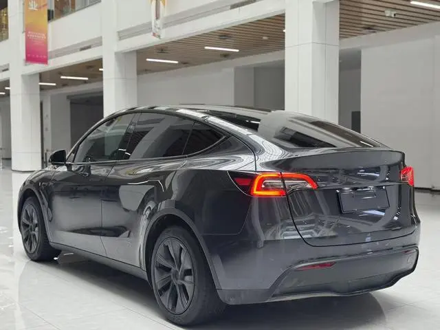 Tesla Model Y Rear-wheel drive version