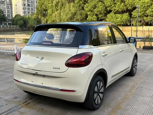 Wuling Wuling Bingguo 333KM Yuexiang model