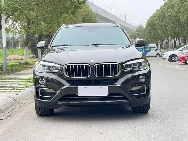 BMW BMW X6 xDrive35i leading type