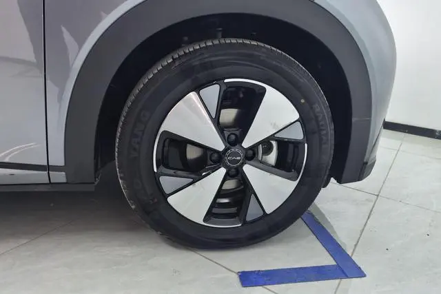 BYD dolphin Fashion edition