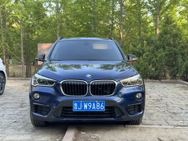 BMW BMW X1 sDrive20Li Luxury