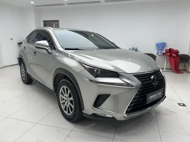 Lexus Lexus NX 300h front drive Fengshang version Country V
