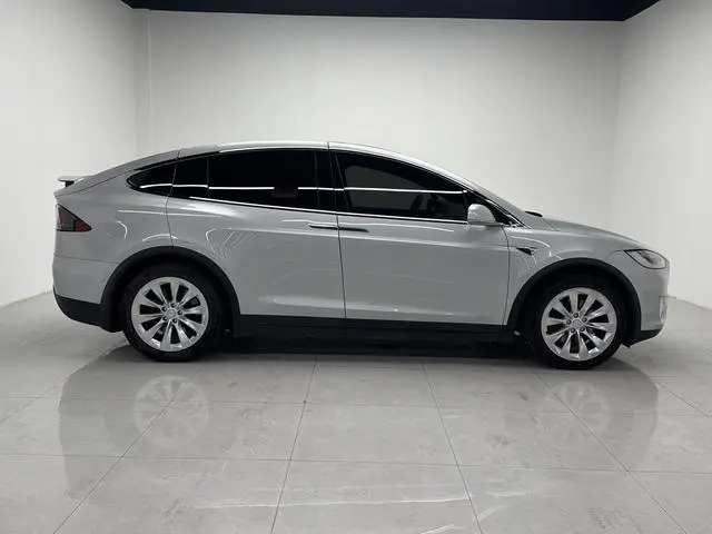 Tesla Model X 100D long battery life version