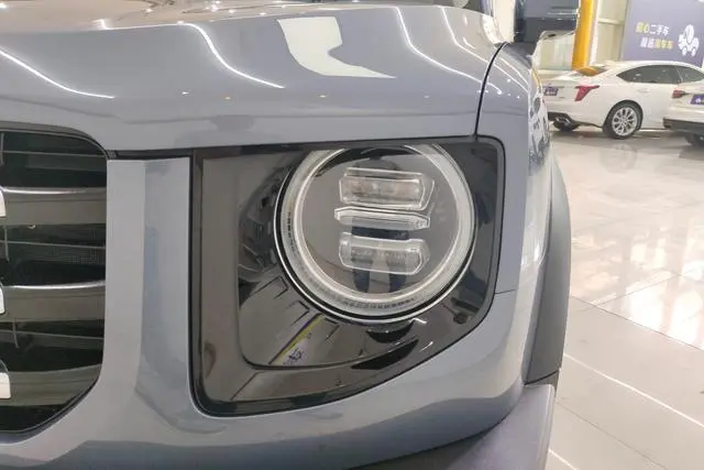 Haval Haval Big Dog 1.5T two-wheel drive horse dog-Wangcai Edition