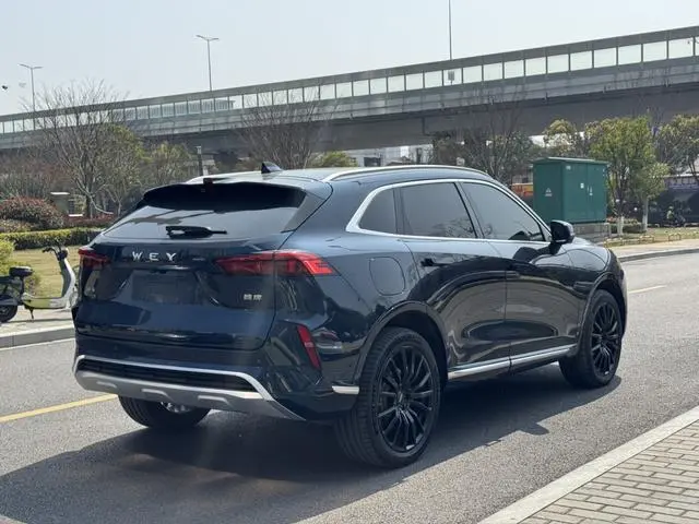 Wei Mocha PHEV 01 Performance Version