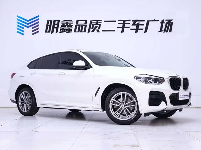 BMW BMW X4 xDrive25i M sports suit