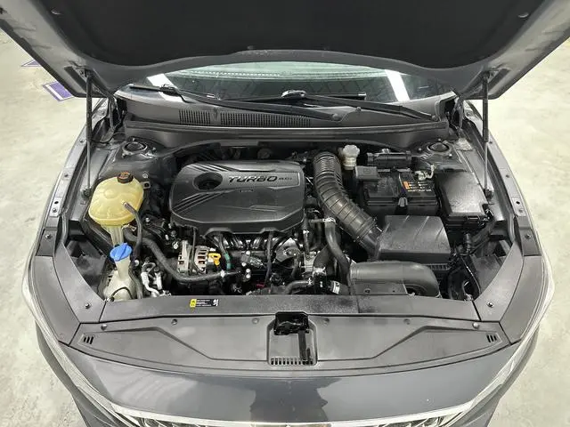Hyundai Festa 280TGDi sports version Country VI