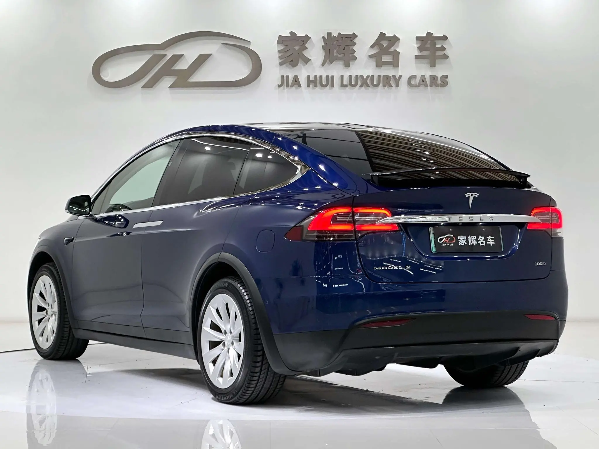 Tesla Model X 100D long battery life version