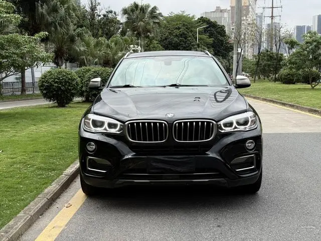 BMW BMW X6 xDrive35i Luxury