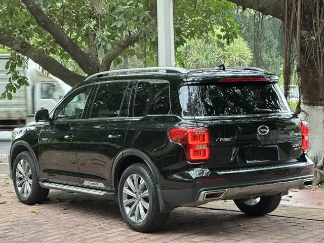 GAC Trumpchi GS8 390T two-wheel drive luxury Zhilian Edition 7 seats