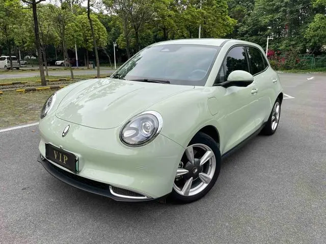 Ora Euler good cat 401km standard battery life luxury ternary lithium