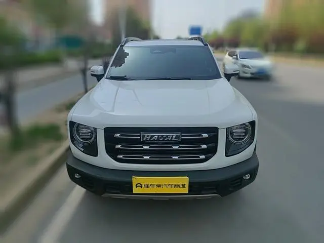 Haval Haval Big Dog 1.5T two-wheel drive horse and dog version