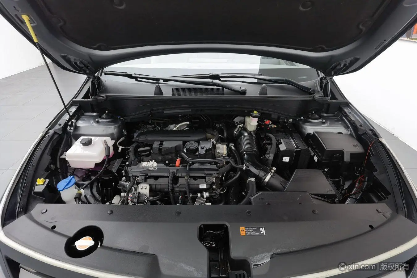 Kia Lion Platinum expands the world 1.5T two-wheel drive Premium edition