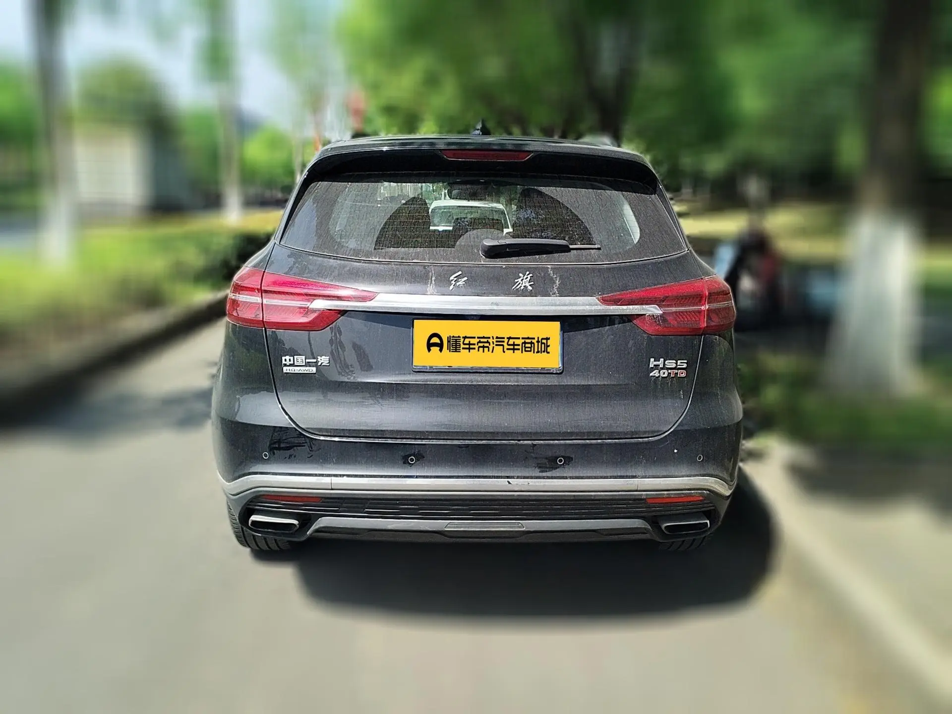 Hongqi Hongqi HS5 2.0T Zhilian Flag Enjoy Edition