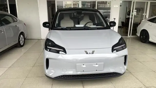 Wuling Wuling Bingguo PLUS 330km five-seater version