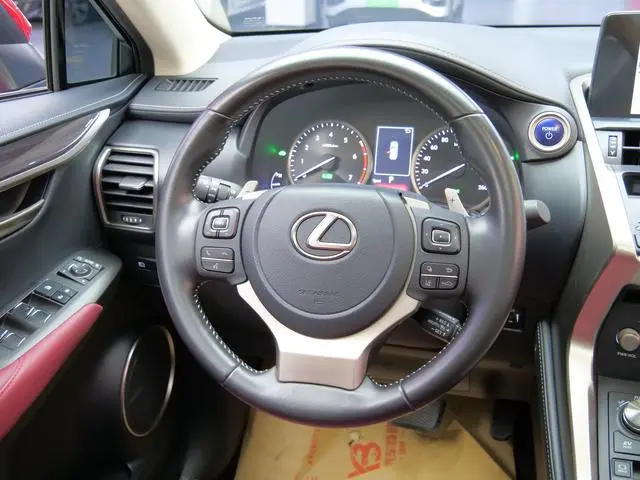 Lexus Lexus NX 300h full drive Fengzhi edition country VI