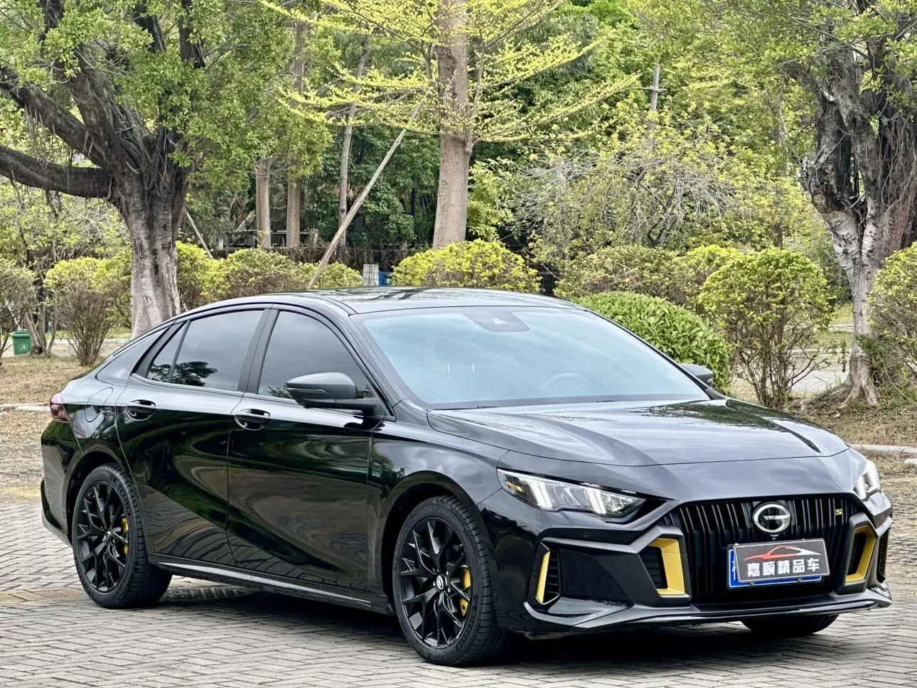 GAC Shadow Leopard 270T J16 version