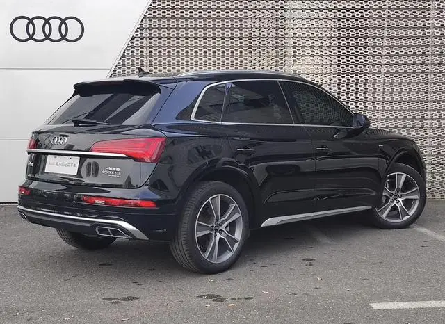 Audi Audi Q5L 45 TFSI luxury Dynamic Type