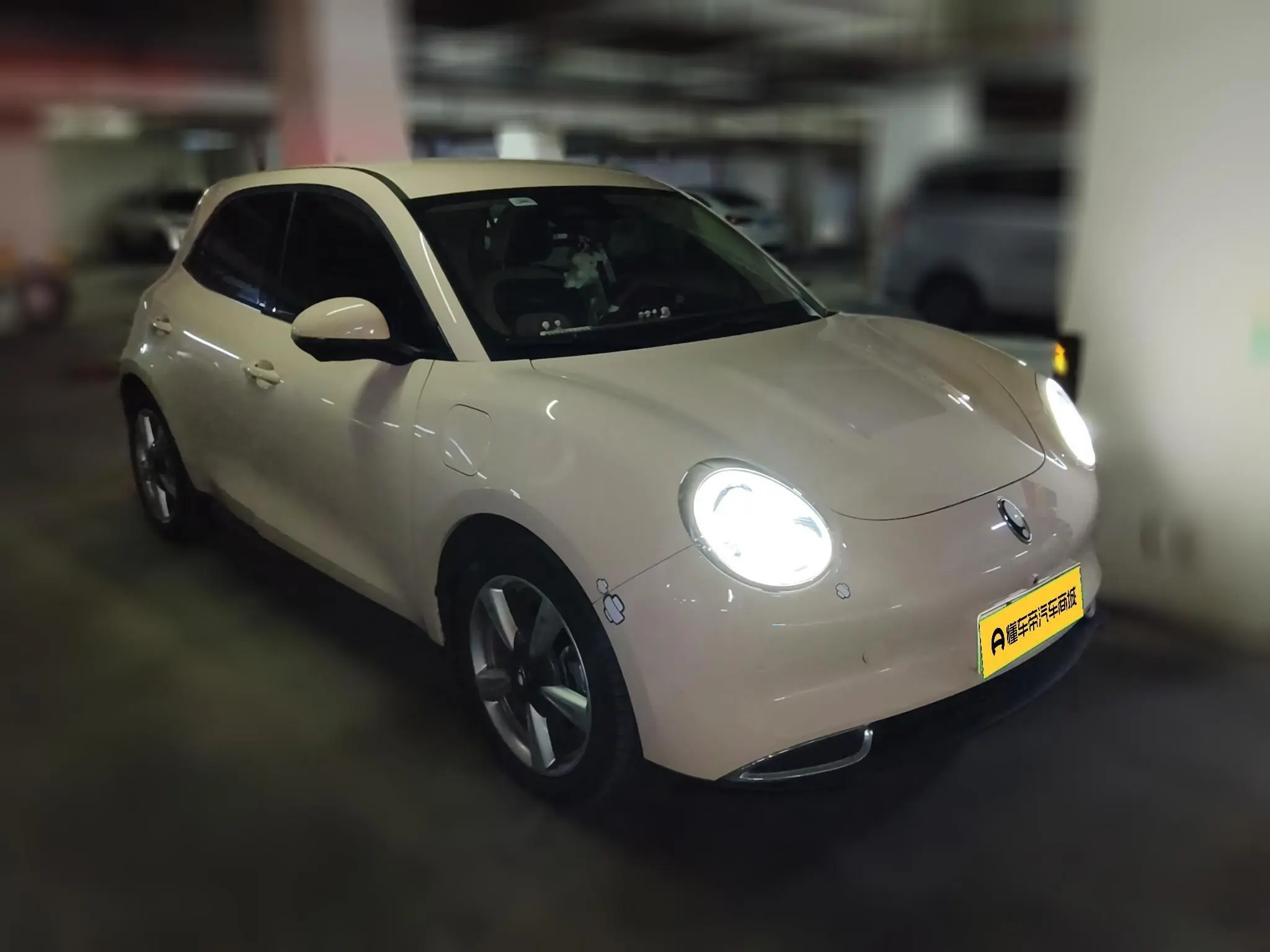 Ora Euler good cat 401km standard battery life luxury lithium iron phosphate