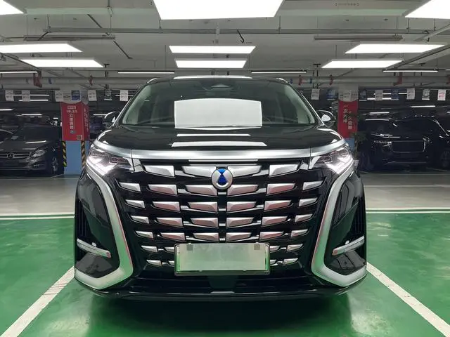 Denza Denza D9 DM 1040 Premium type