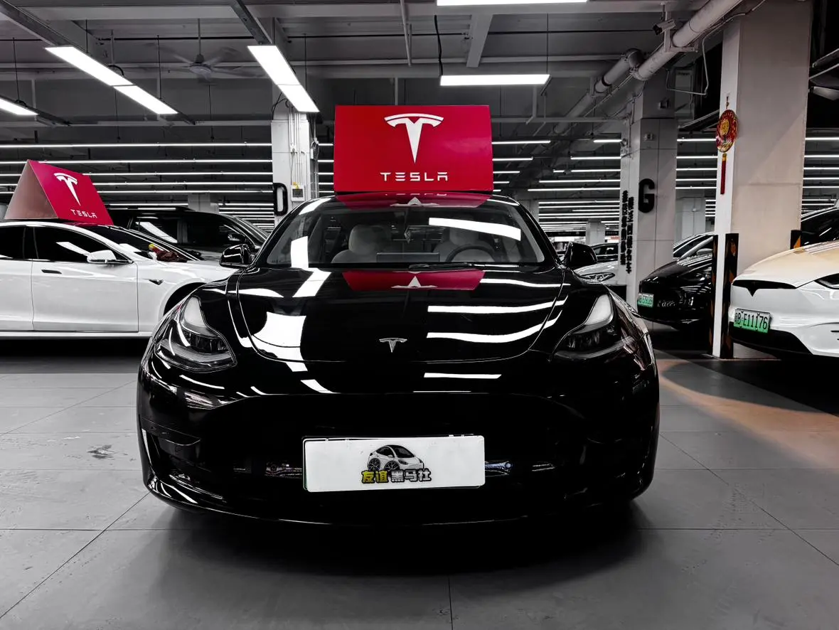 Tesla Model 3 Standard battery life rear drive upgraded version 3D6