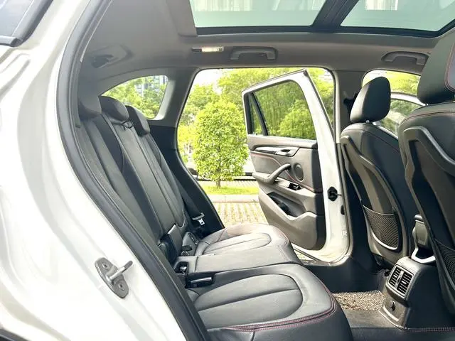 BMW BMW X1 xDrive20Li Luxury
