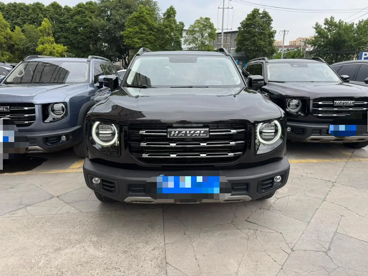 Haval Haval Big Dog 1.5T two-wheel drive Labrador version