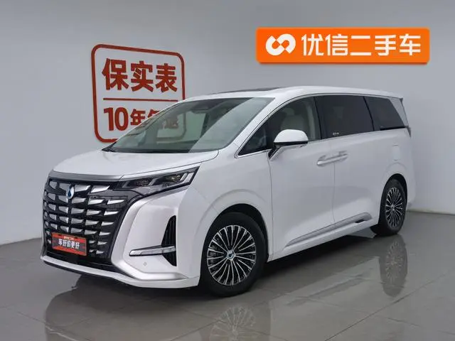 Denza Denza D9 DM 970 four-wheel drive honor type