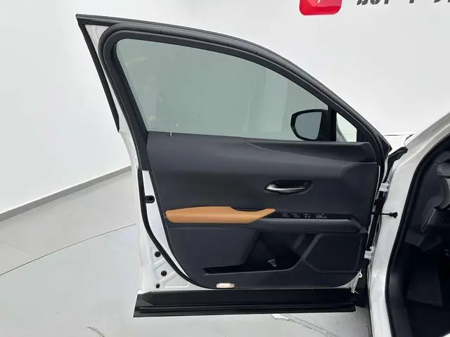 Lexus Lexus UX 260h Exploration*Cool Edition Country VI