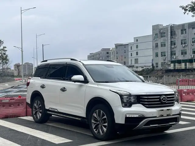 GAC Trumpchi GS8 320T two-wheel drive premium edition 7 seats