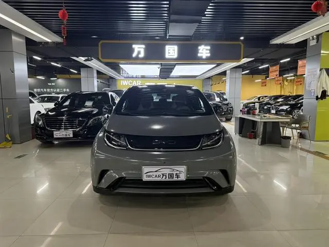 BYD dolphin Fashion edition