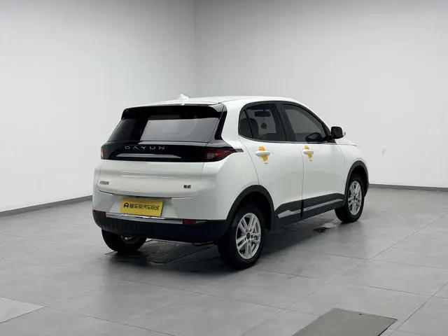 Dayun Yuehu 300 Standard Edition