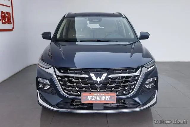 Wuling Capgemini Victory 2.0L DHT luxury type