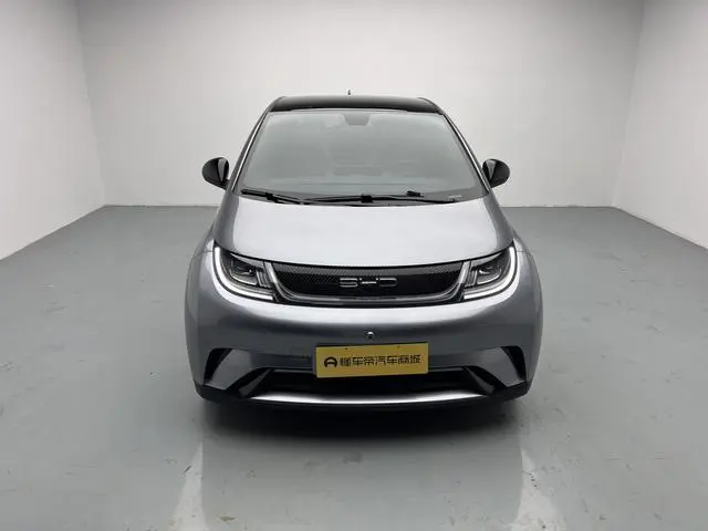BYD dolphin Fashion edition