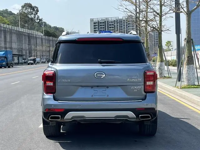 GAC Trumpchi GS8 320T two-wheel drive premium edition 7 seats