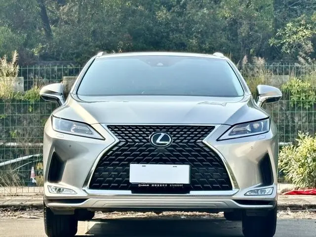 Lexus Lexus RX Facelift 300 two-wheel drive comfort version