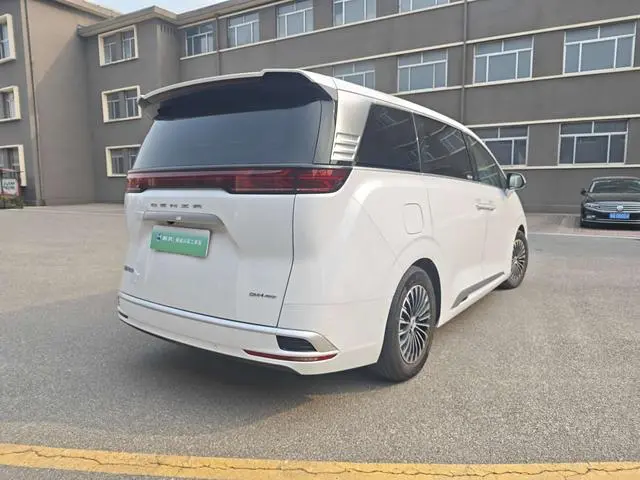 Denza Denza D9 DM 980 four-wheel drive honor type