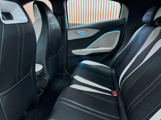 BYD Seagull Flying Version