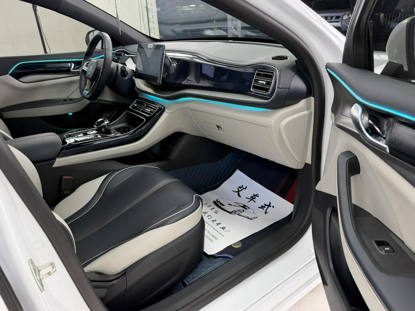 BYD Qin PLUS DM DM-i 55KM flagship type