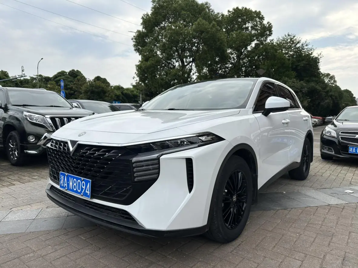 Venucia Qichen Big V 260T King Edition