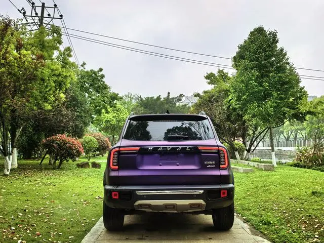 Haval Haval Big Dog 2.0T two-wheel drive Chinese Hound Version
