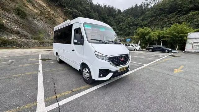 Wuling Wuling Rongguang New Card Special Vehicle 2.0L C-type sales truck single row extended double rear wheel LJM20B