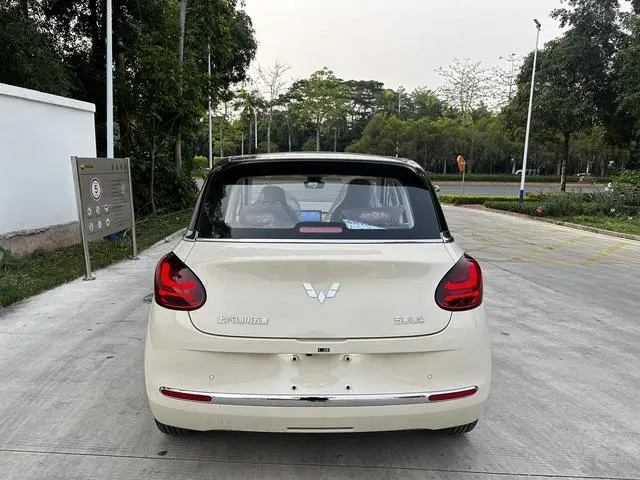 Wuling Wuling Bingguo 333KM Yuexiang model