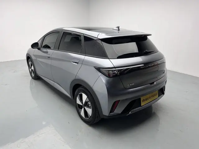 BYD dolphin Fashion edition