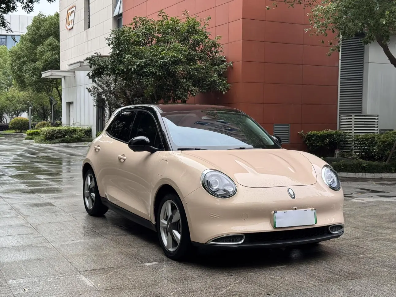 Ora Euler good cat 400km standard battery life Venus version lithium iron Phosphate battery