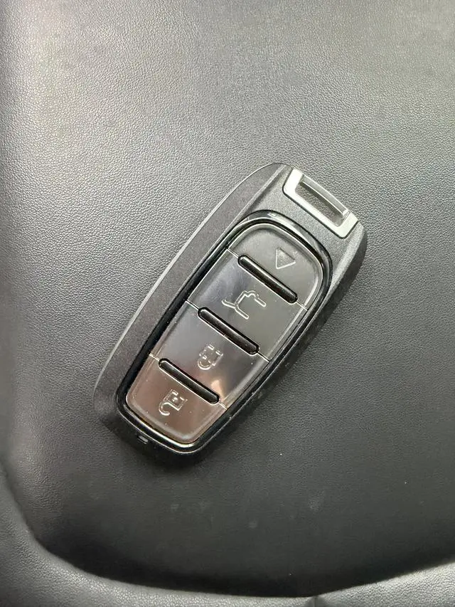 Dayun Yuehu 300 Standard Edition